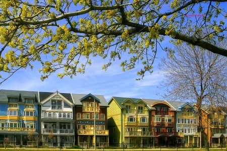 05-Torontos-Painted-Ladies