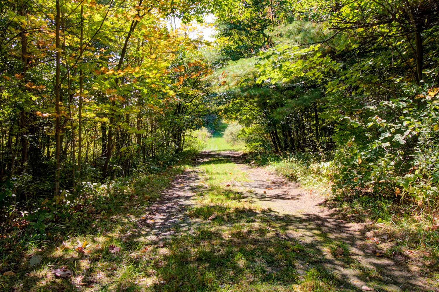 Property Trails