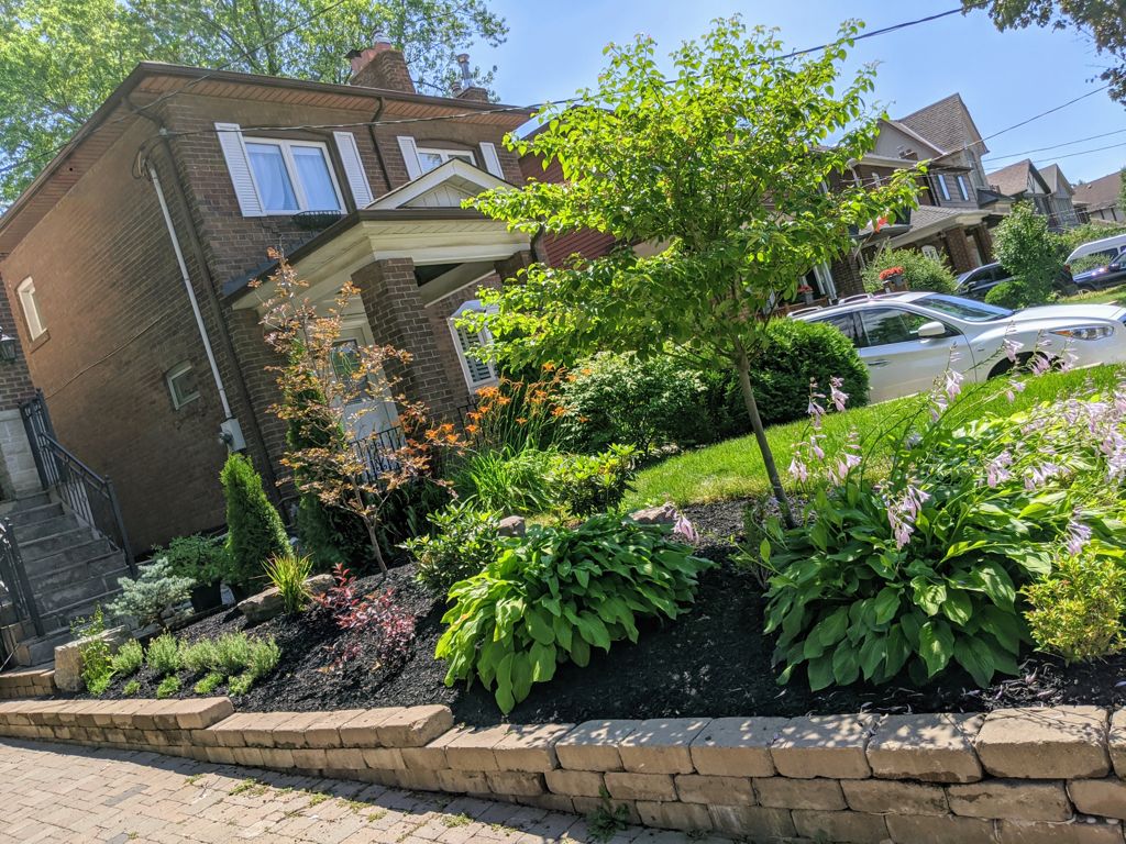 Front yard