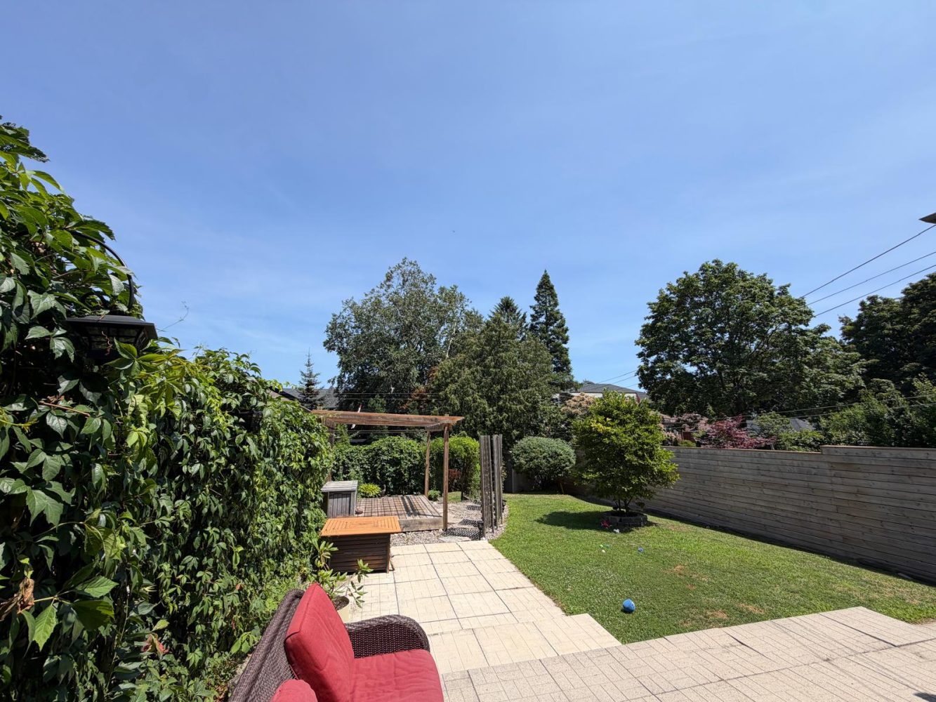 Back yard