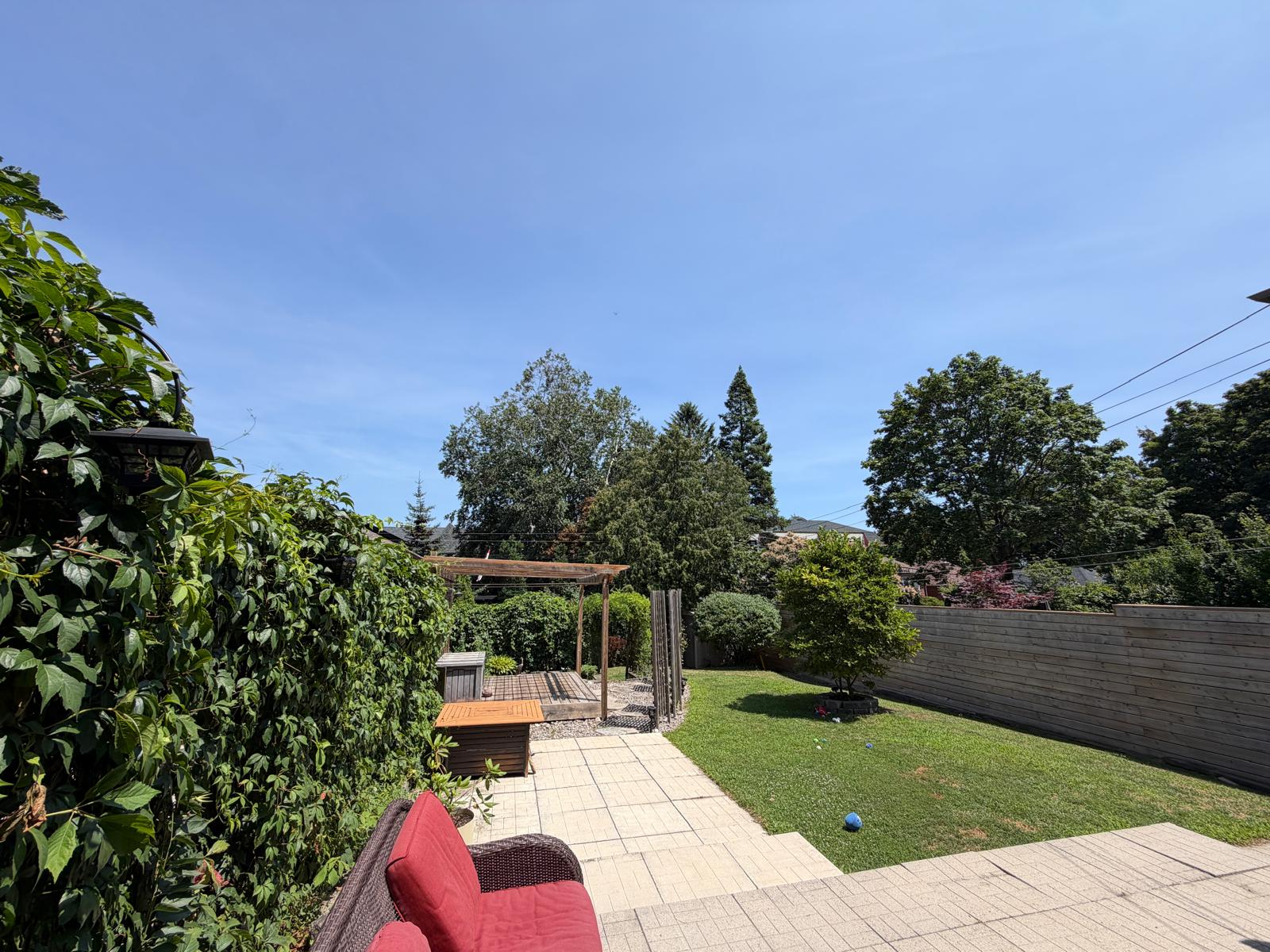 Back yard